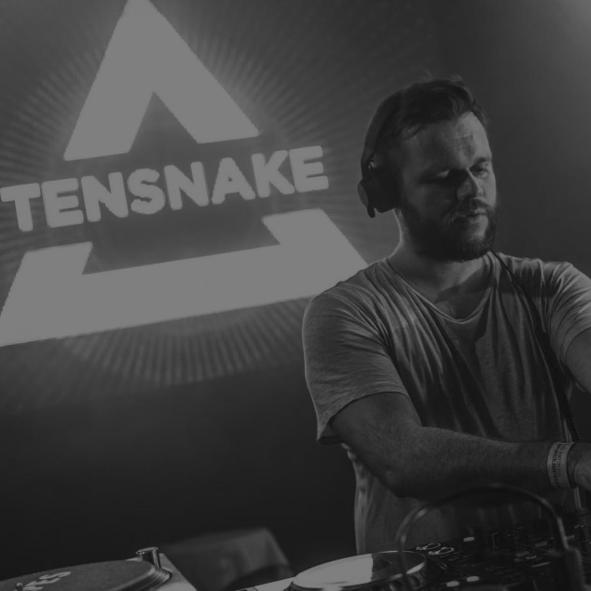 Tensnake