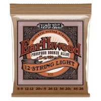 Ernie Ball P02153 09-46 (12 Telli) Akustik Gitar Teli