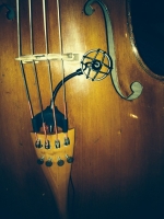 CL21 Lanen Cello