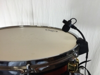 DL21 Salmieri Drum