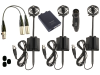 UHF DSP AL21 Pack Duo