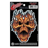 PLANETWAVES GT77013 GTR TATTOO- FLAME WHIP STİCKER Gtr Tattoo- Flame Whıp Sticker