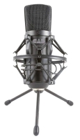 CAD AUDIO GXL2600USB Usb Condenser Mikrofon
