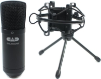 CAD AUDIO GXL2600USB Usb Condenser Mikrofon