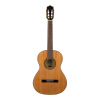 MARTINEZ ETUDE C / Klasik Gitar