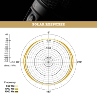 RODE NT2000 Mikrofon