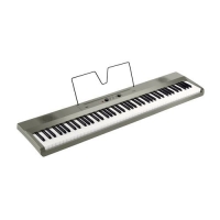 Korg Liano-MS Dijital Piyano
